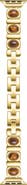 Posh Tech Gaia Tiger Eye Watchband
