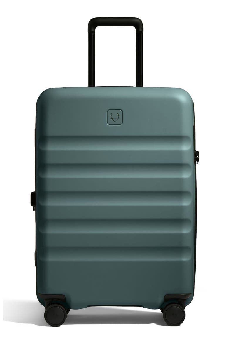 Icon Stripe Medium Luggage, Main, color, Glade Blue