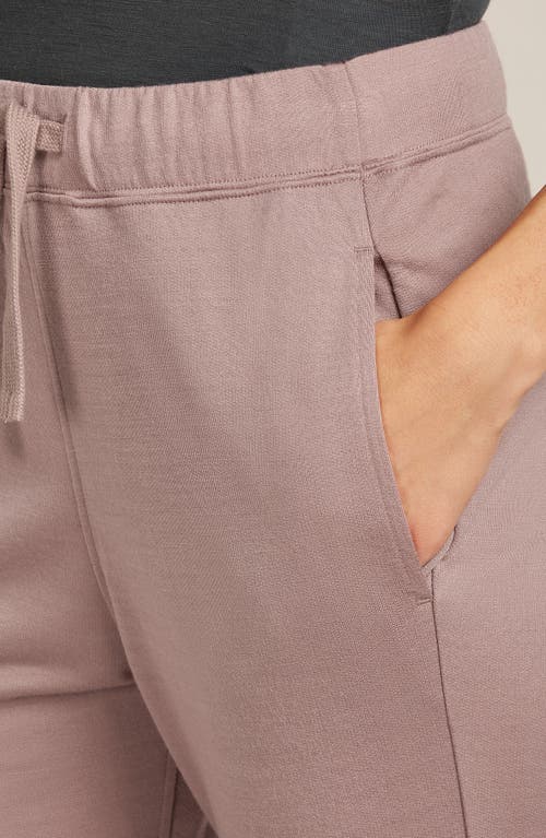 Icebreaker Crush Ii Joggers In Neutral