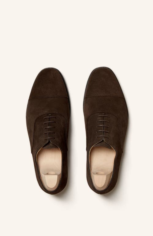 Myrqvist Äppelviken Oxfords In Brown