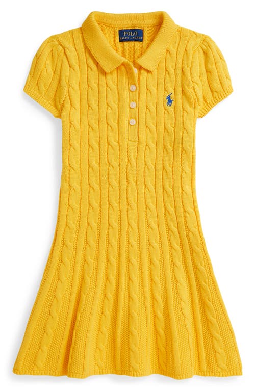 Polo Ralph Lauren Kids' Cotton Cable Knit Sweater Dress In Animal Print
