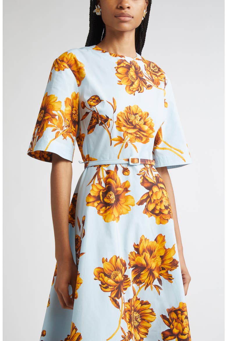 Tonal Peony Print Stretch Poplin Belted Dress, Alternate, color, BROWN/ ICE BLUE