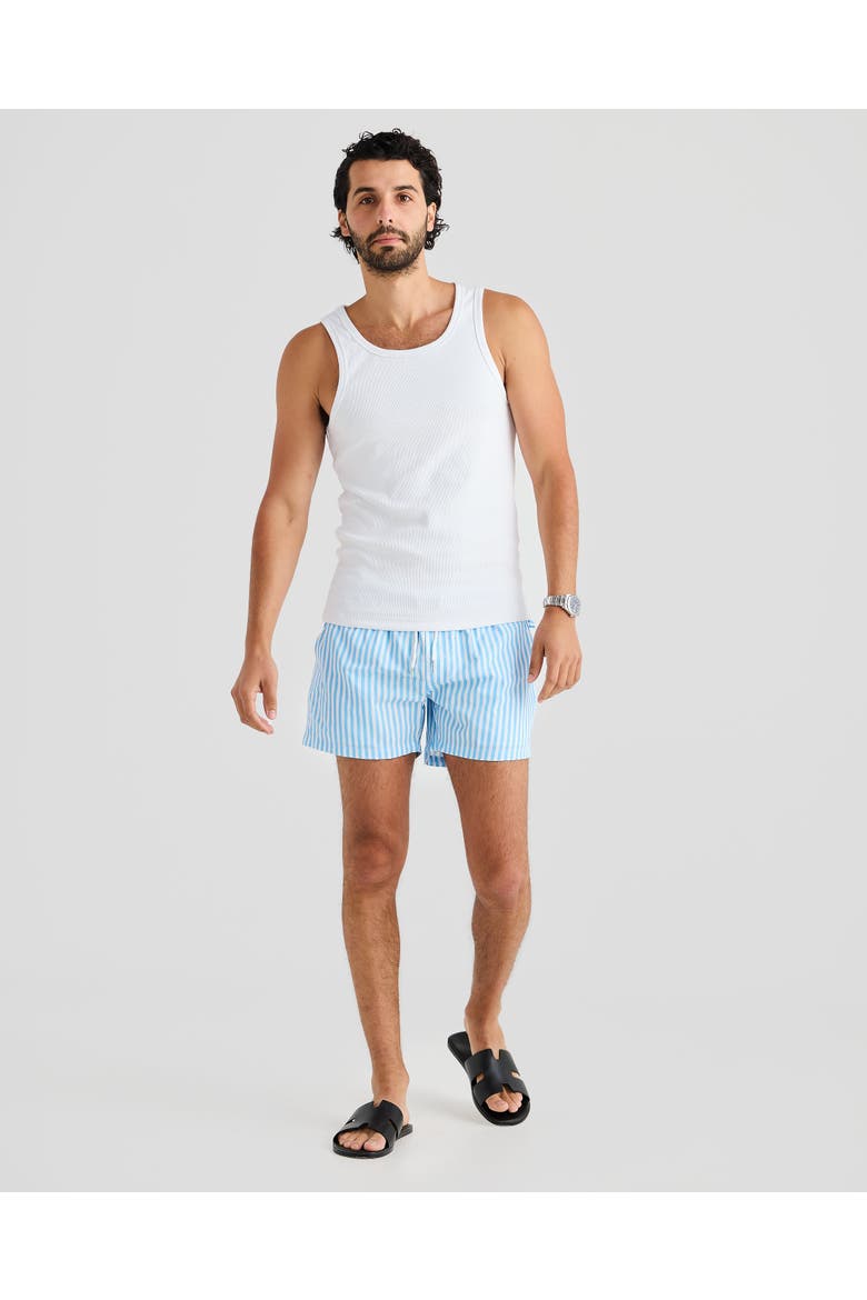 Monte Carlo Stretch Swim Short, Alternate, color, White & Blue Pin Stripe