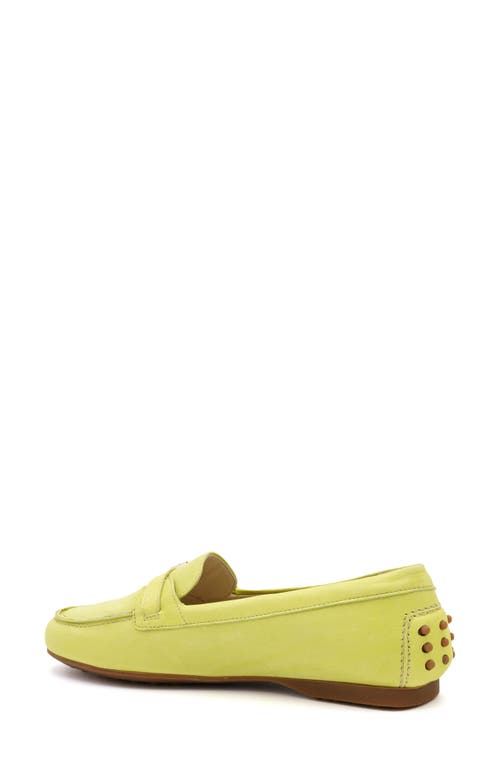 Amalfi By Rangoni Deliza Loafer In Lime Vapor