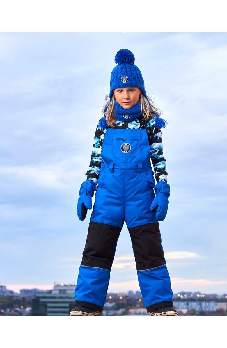 Deux par Deux Boy's Overall Snow Pants Royal Blue, Alternate, color, 