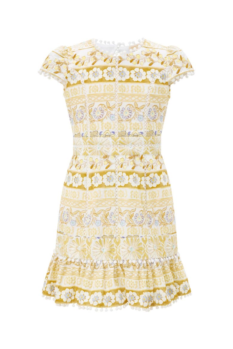 Lara Embroidered Mini Dress, Main, color, Multi