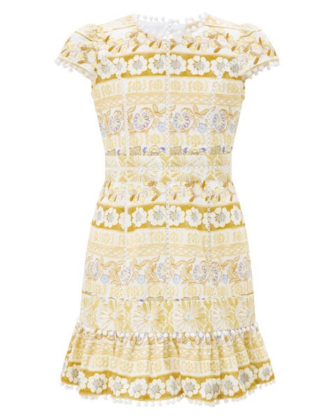 Lara Embroidered Mini Dress