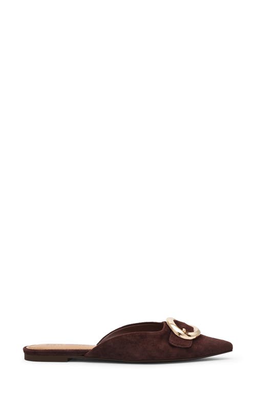 Steve Madden Ira Pointed Toe Mule