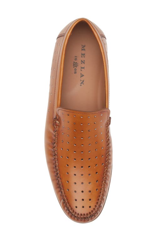 Mezlan Perforated Moc Toe Loafer In Cocoa