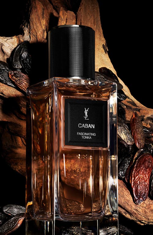 Saint Laurent Yves Caban In Transparent