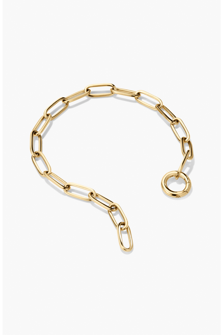 Paperclip Chain Charm Bracelet, Alternate, color, 18k Gold Vermeil