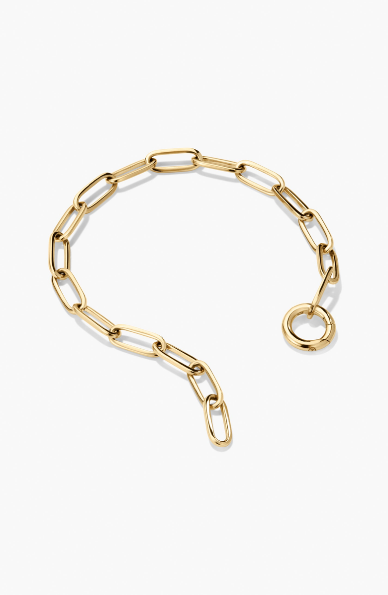 MEJURI Paperclip Chain Charm Bracelet, Alternate, color, 18K Gold Vermeil