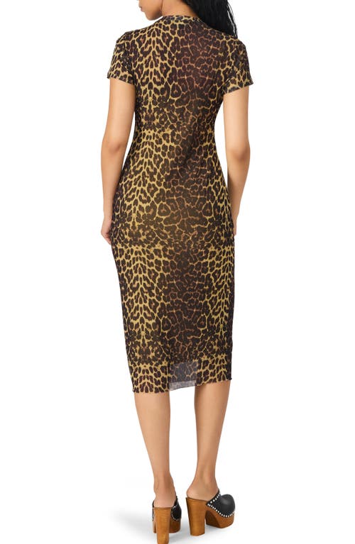 Steve Madden Hailee Print Dress In Animal Print