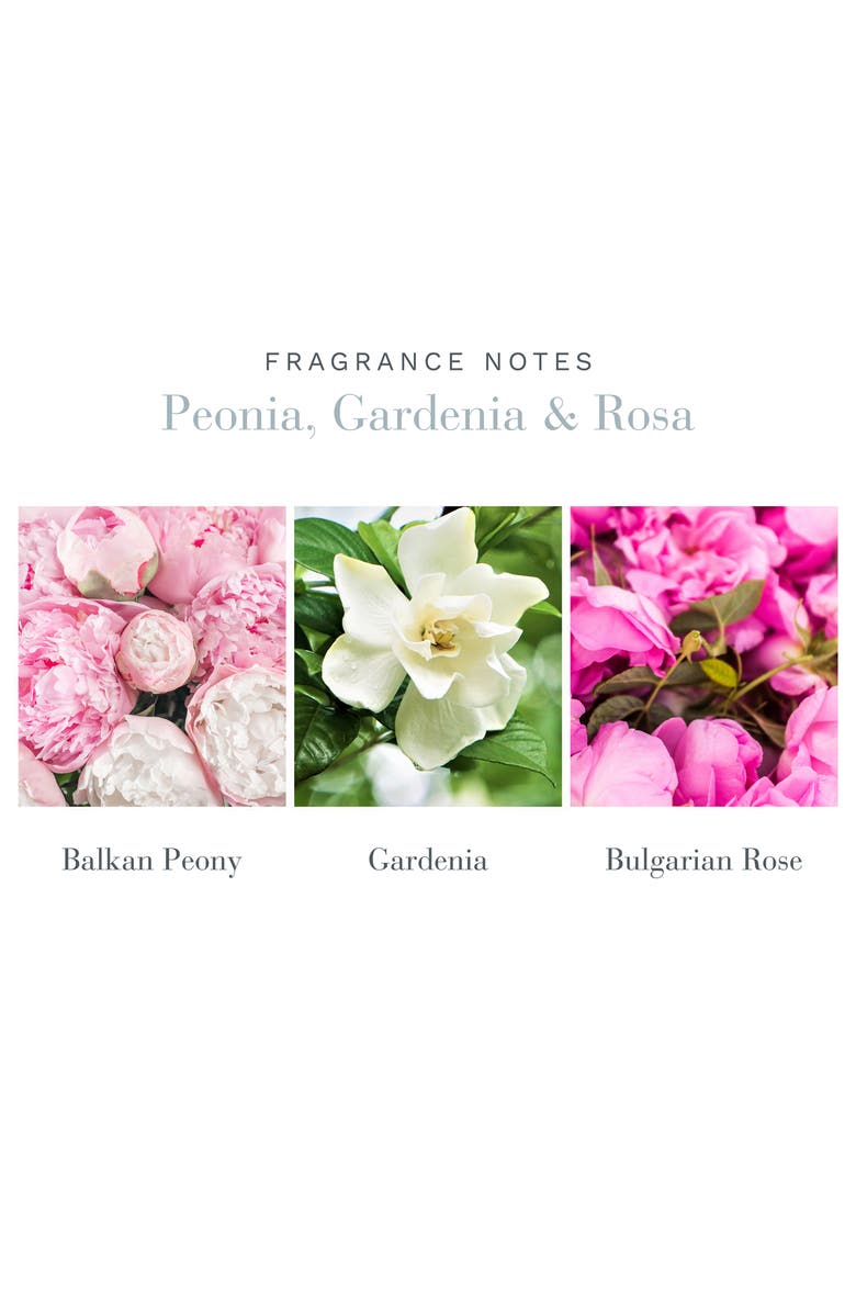Antica Farmacista Peonia Gardenia & Rosa Home Ambiance Perfume, Alternate, color, 