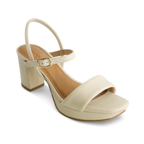 BERNARDO FOOTWEAR BERNARDO FOOTWEAR BERNARDO CANTO PLATFORM SANDAL