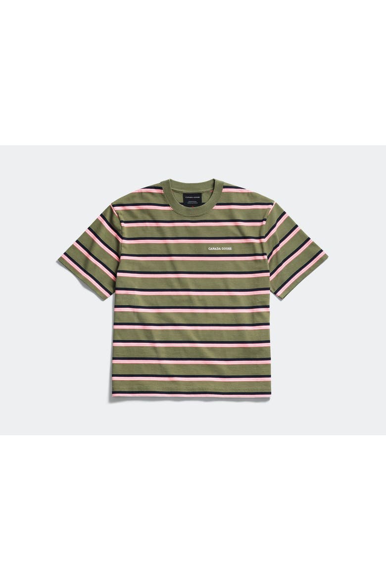 Roam Striped T-Shirt, Alternate, color, Vireo Green Stripe