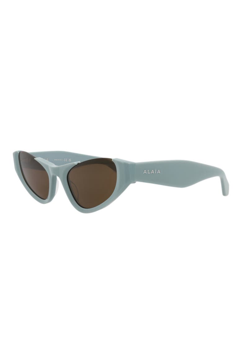 54mm Cat Eye Sunglasses, Alternate, color, LIGHT BLUE LIGHT BLUE BROWN