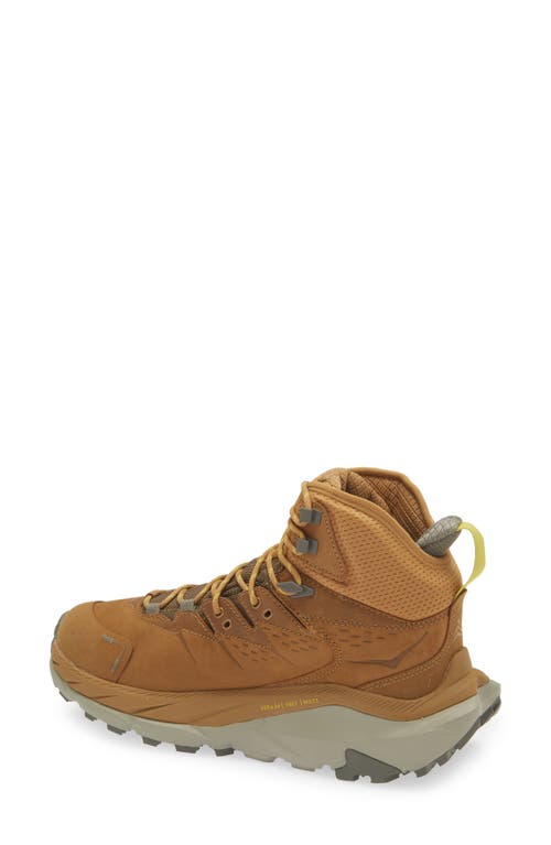 Hoka Kaha 2 Gtx Waterproof Hiking Boot In Honey/barley