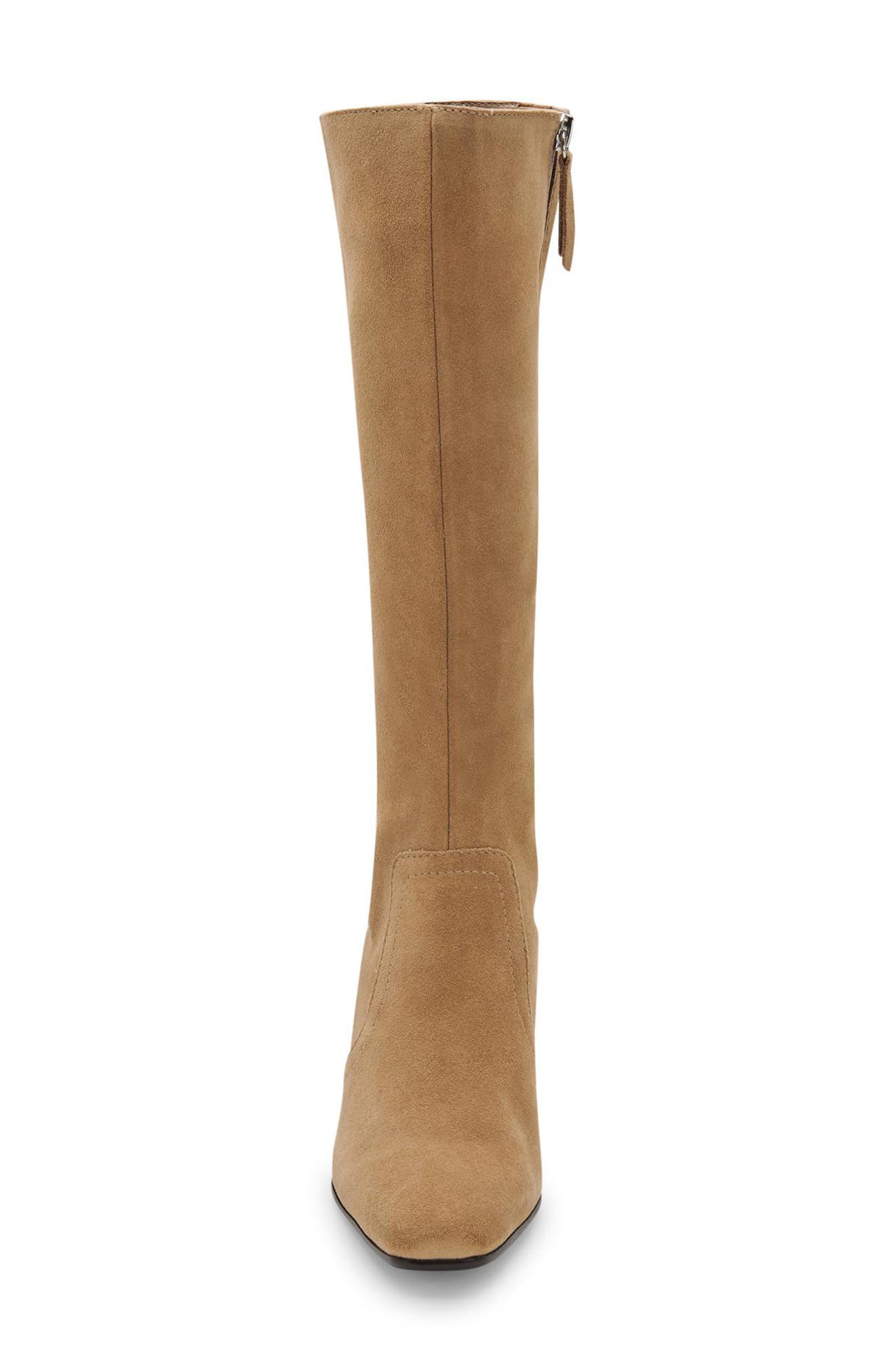 Tessa Waterproof Knee High Boot, Alternate, color, TAUPE SUEDE