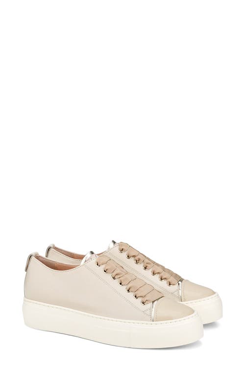 Agl Attilio Giusti Leombruni Agl Mollie Platform Sneaker In Talc-suga-sand-milk