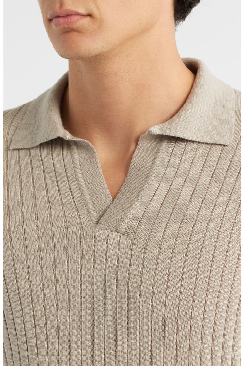 Rib Johnny Collar Cashwool® Polo Sweater, Alternate, color, GREIGE
