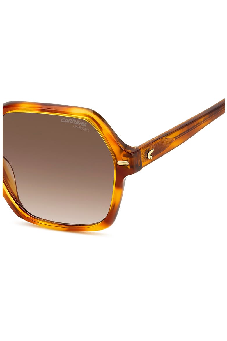 Carrera 3026/S 56mm Gradient Square Sunglasses, Alternate, color, HAVANA