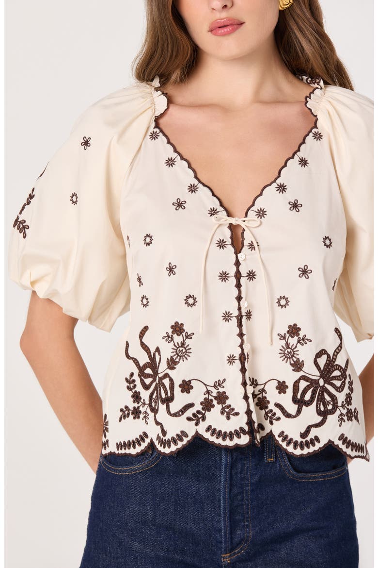 Lucia Embroidered Balloon Sleeve Top, Alternate, color, CREAM