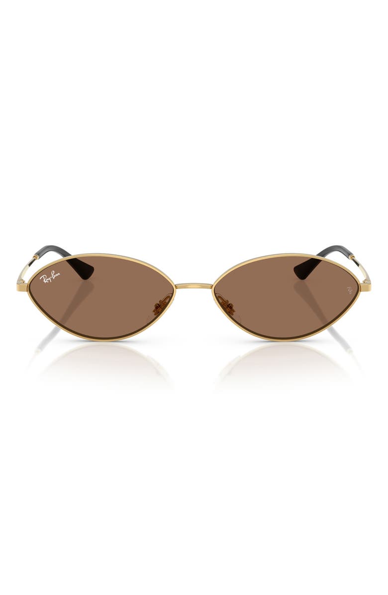 Ray-Ban Kai 56mm Oval Sunglasses, Main, color, Gold/ Dark Brown