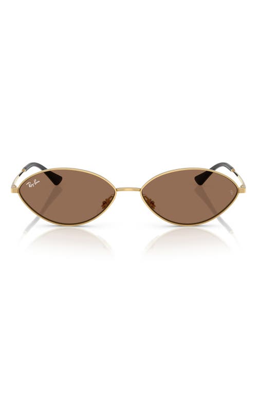 Ray Ban Ray-ban Kai 56mm Oval Sunglasses In Multi