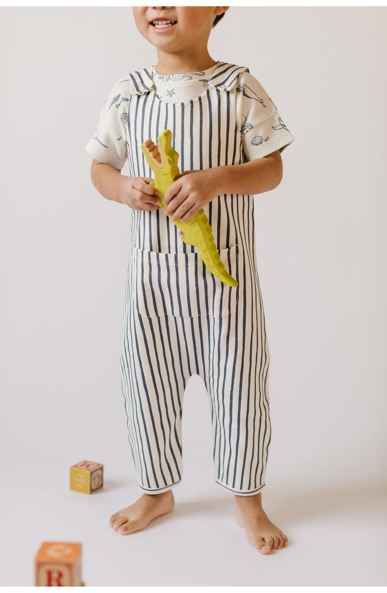 Pehr Stripes Away Organic Cotton Overalls, Alternate, color, 