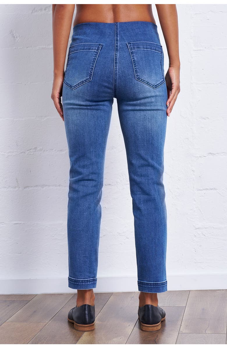 Franne Golde Original Stretch Magic Pant, Alternate, color,