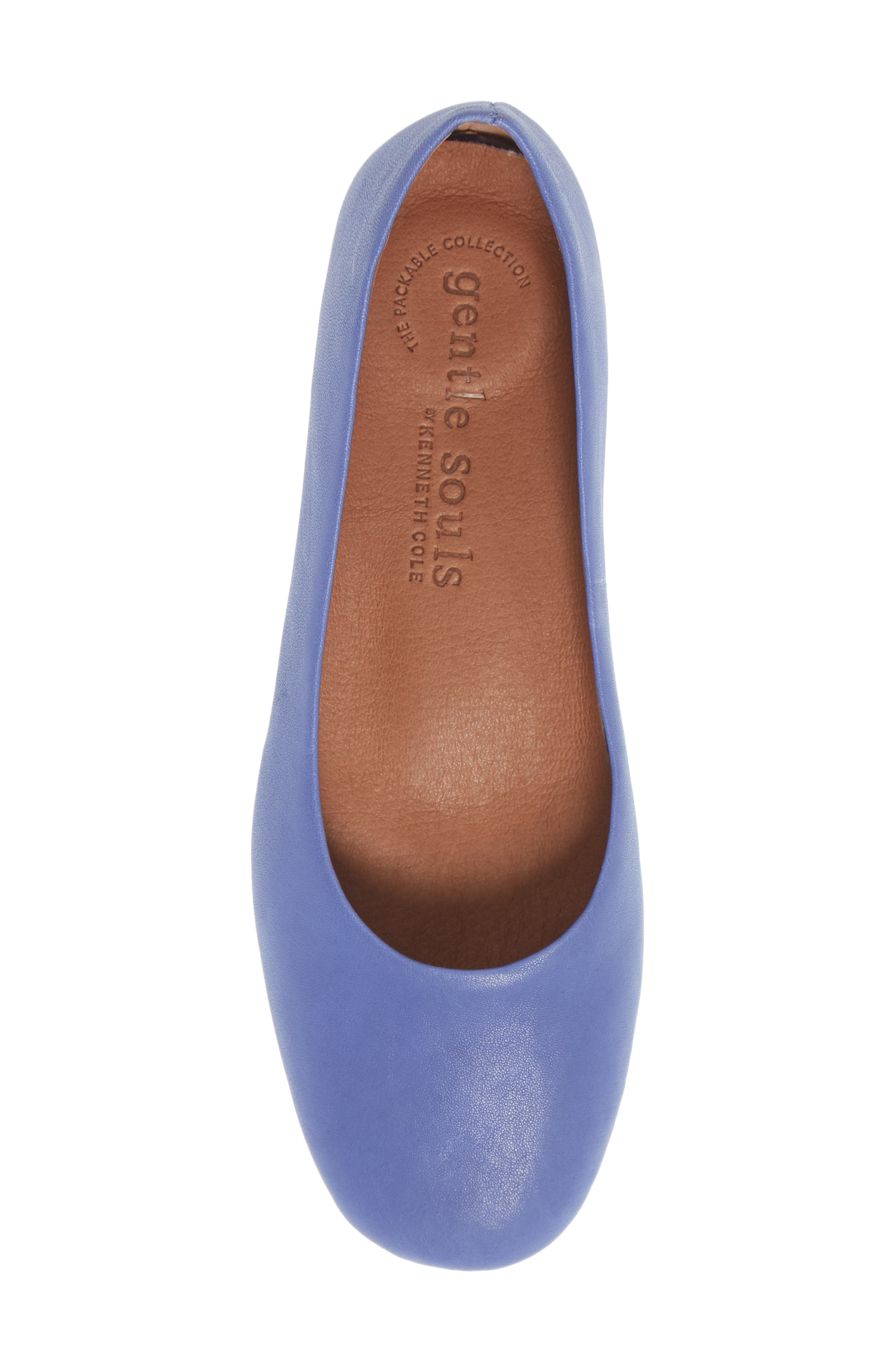 Signature Eugene Travel Ballet Flat, Alternate, color, INDIGO LEATHER