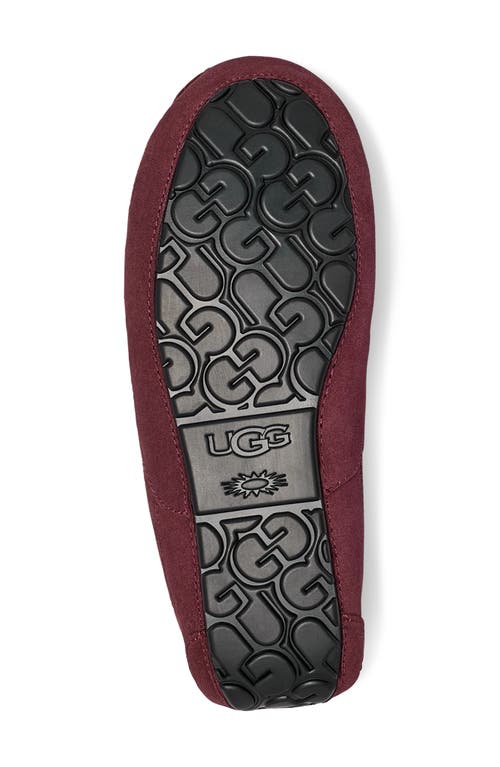 Ugg Ascot Slipper In Burgundy