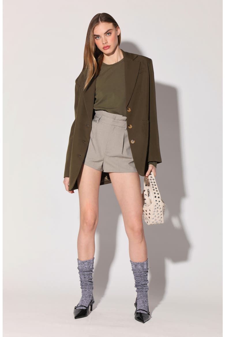 Jagger Oversize Blazer, Alternate, color, OREGANO