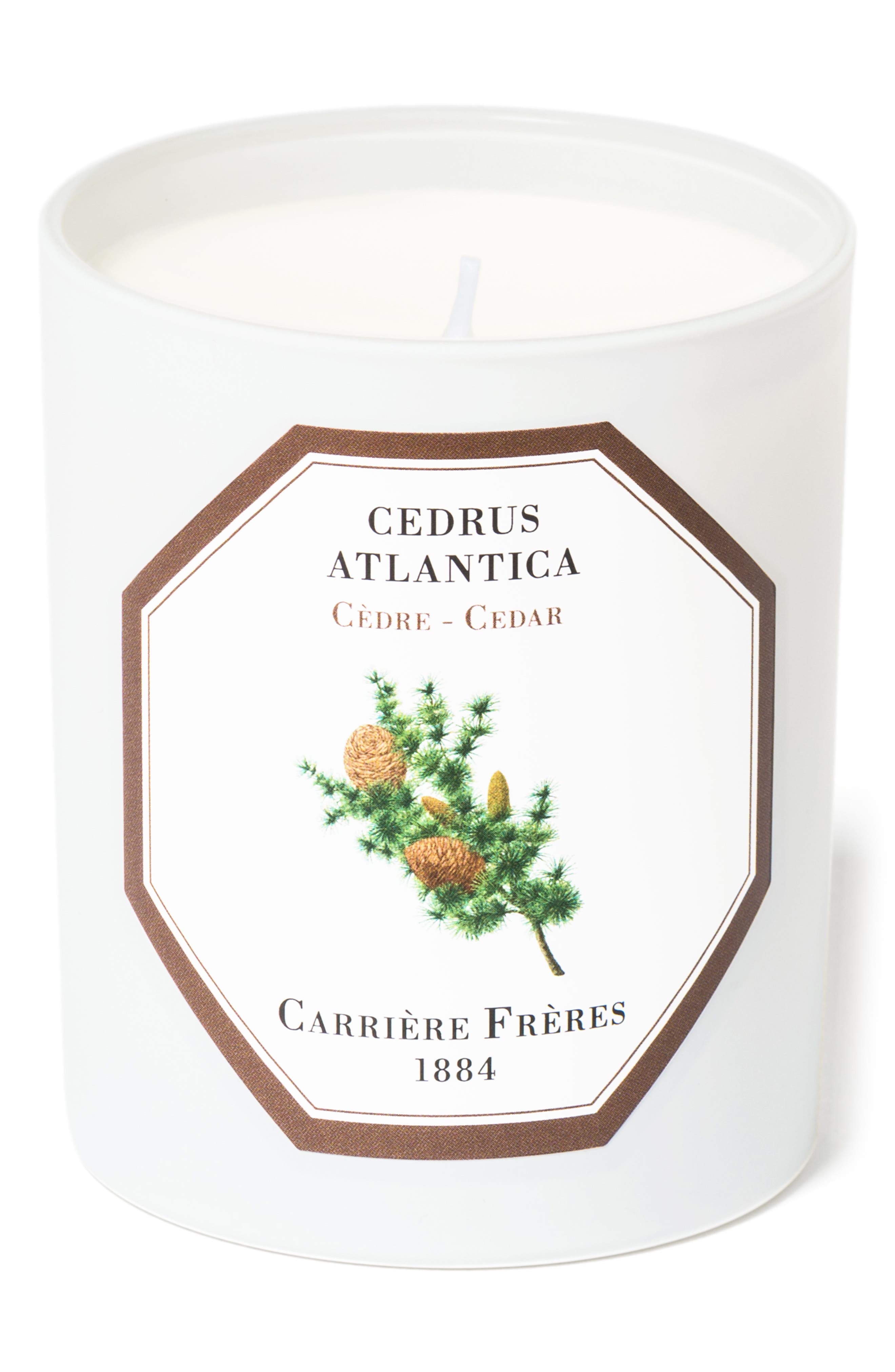 CEDAR