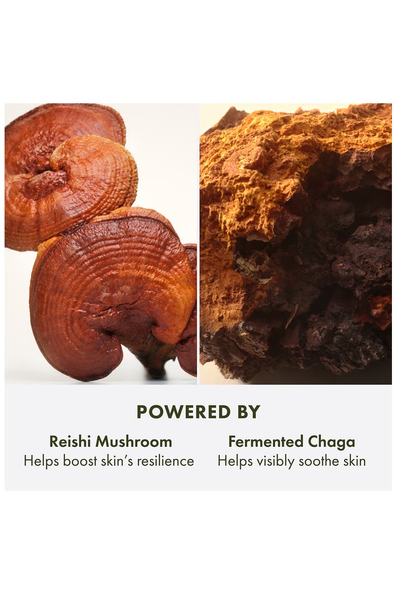 Dr. Andrew Weil for Origins™ Mega-Mushroom Relief & Resilience Soothing Cream, Alternate, color, NO COLOR