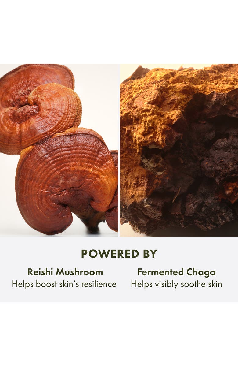 Origins Dr. Andrew Weil for Origins<sup>™</sup> Mega-Mushroom Relief & Resilience Soothing Cream, Alternate, color,