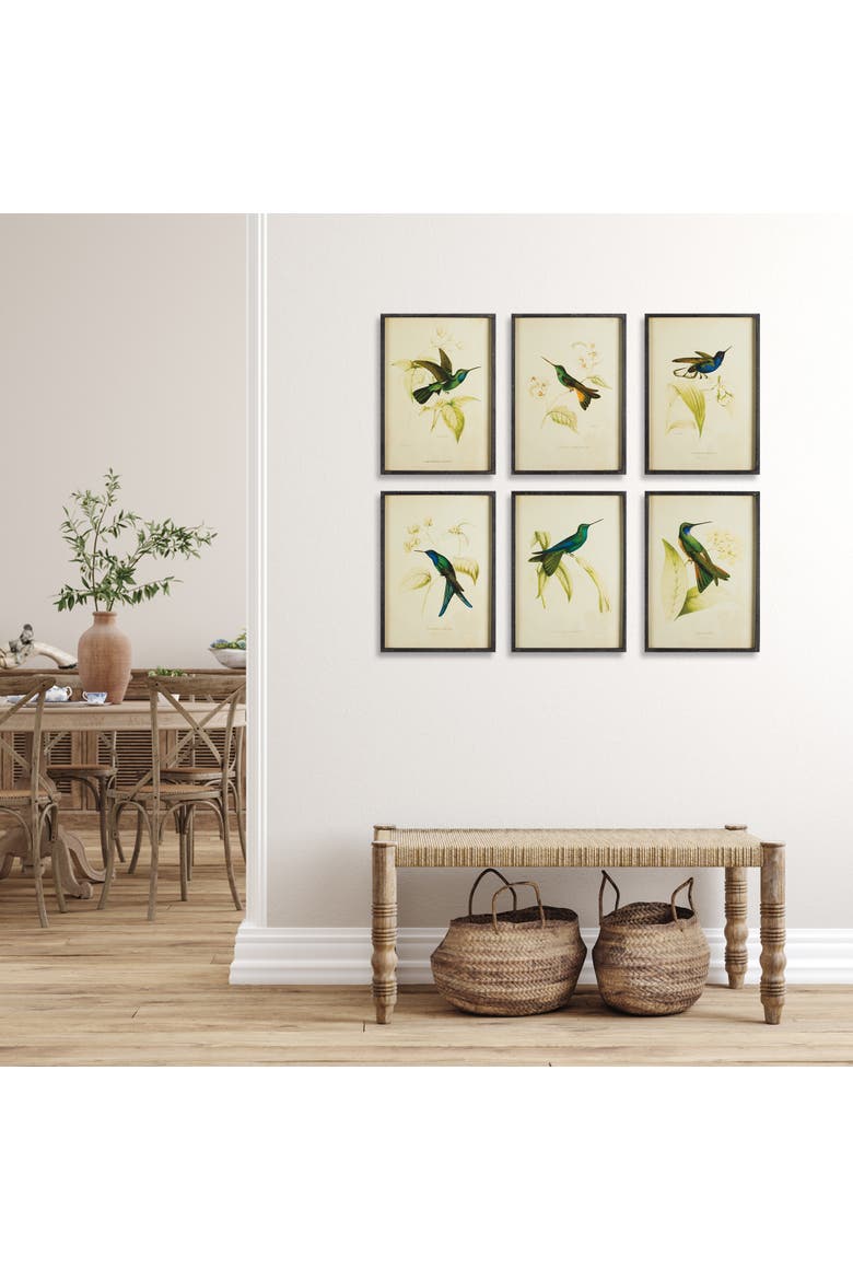 Hummingbird Prints Set of 6, Alternate, color, Black