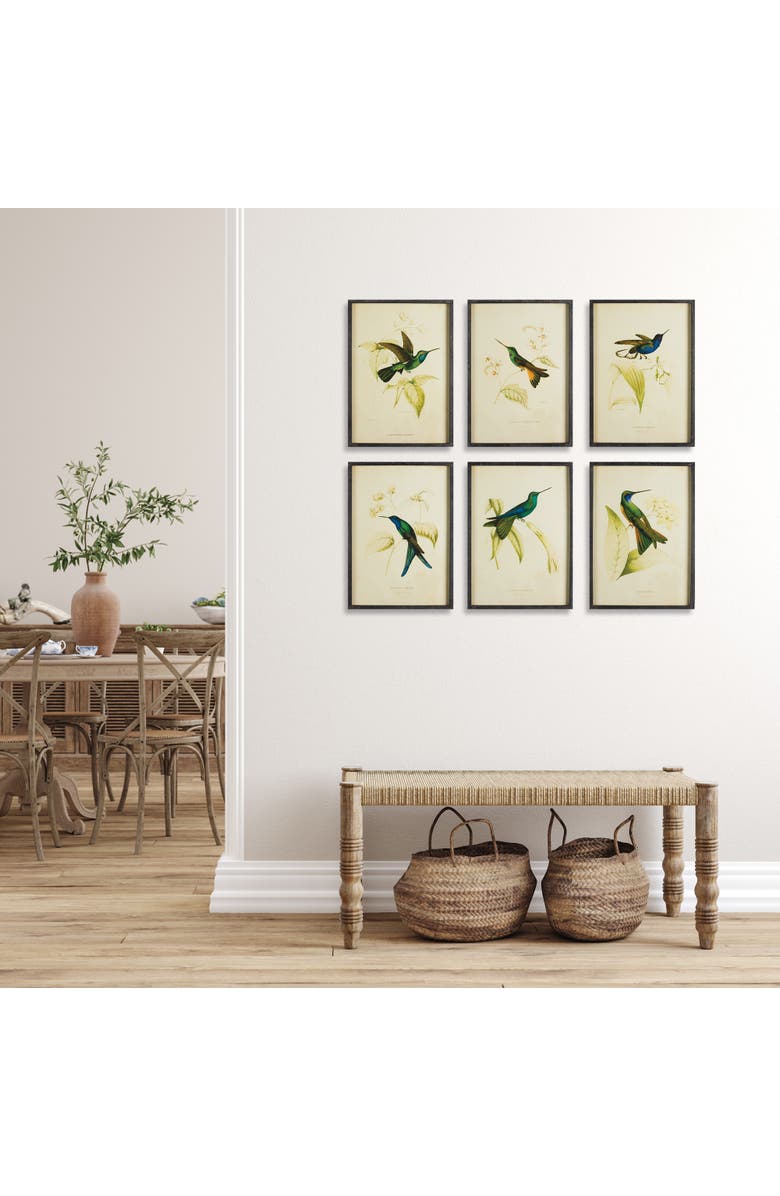 Napa Home & Garden Hummingbird Prints Set of 6, Alternate, color, 