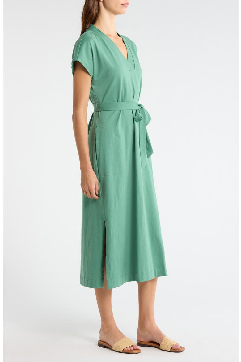 Islandscape Cotton Jersey Midi Dress, Alternate, color, SPRUCE FROST