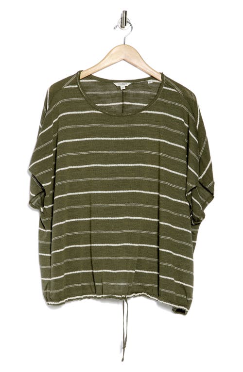 Max Studio Stripe Dolman Sleeve Bubble Hem Top In Green