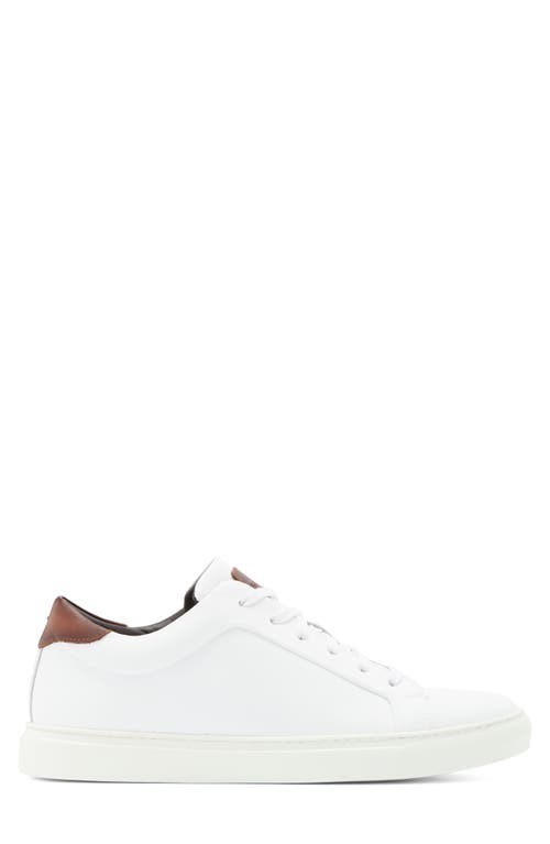 To Boot New York Mesa Low Top Sneaker In White