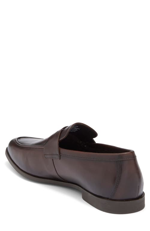 Steve Madden Pomona Penny Loafer In Brown