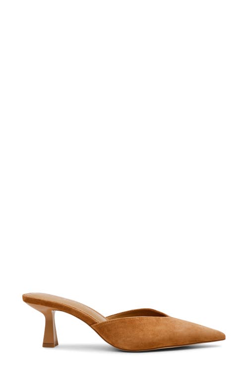 Steve Madden Mod Pointed Toe Mule Pump In Chestnut Suede