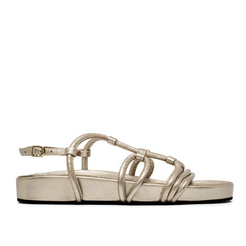 Alta Flora Sandals In Multi