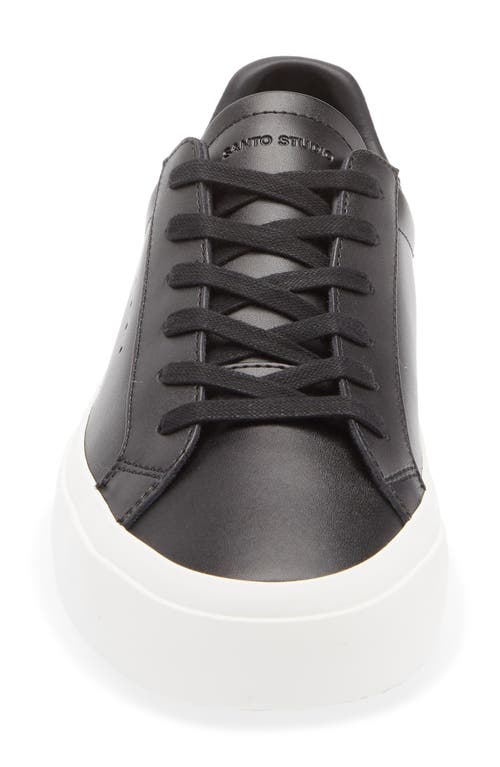 Santo Studio Balboa Low Top Sneaker In Black