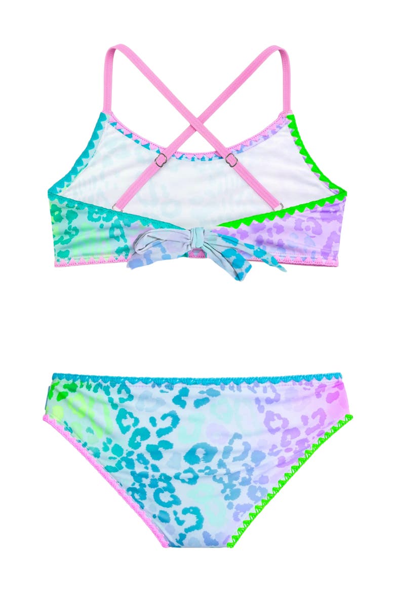 Leopard Print Bikini with Embroidered Trim, Alternate, color, Pink Multi