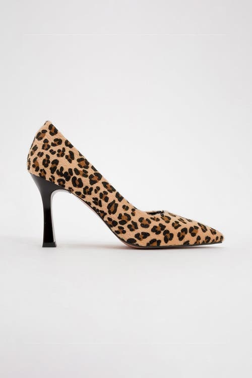 Prologue Shoes Forest Pointed Toe Pump