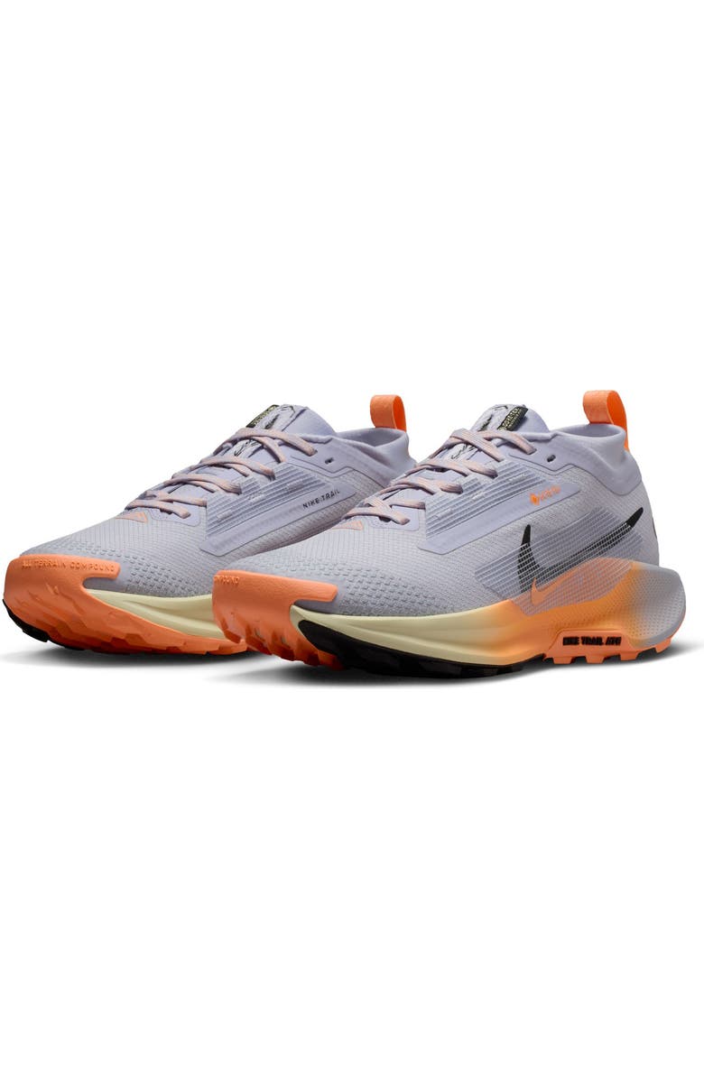 Nike Pegasus Trail 5 Gore-Tex<sup>®</sup> Waterproof Running Shoe, Main, color, 011 Ghost/Black