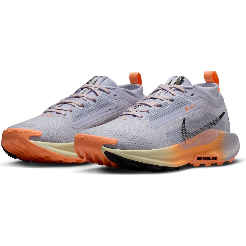 Nike Pegasus Trail 5 Gore-tex® Waterproof Running Shoe In Multi
